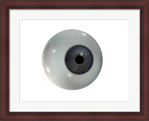 Framed Close-up of the human eyeball frontal view Print