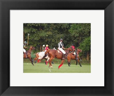 Framed Polo Umpire Print