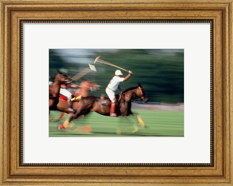Framed Polo - running horses Print