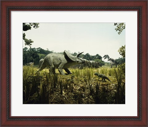 Framed Triceratops with a tyrannosaur and a torosaurus in a forest Print