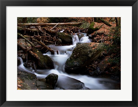 Framed Autumn at Mt. Tammany Print