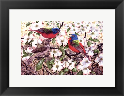 Framed Painted Bunting Print