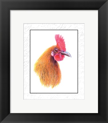 Framed Rooster Insets I Print