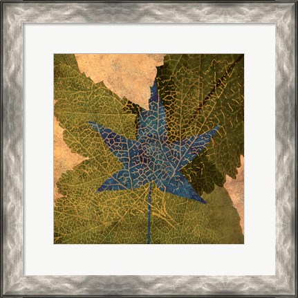 Framed Tea Leaf II Print