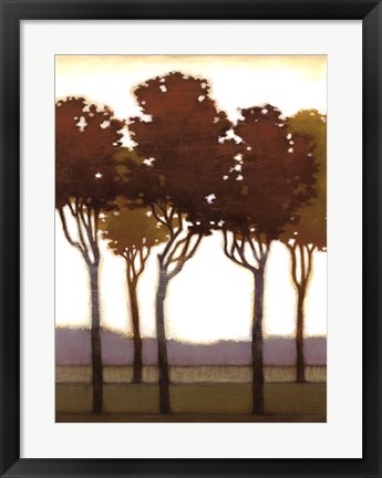 Framed Arboreal Grove I Print