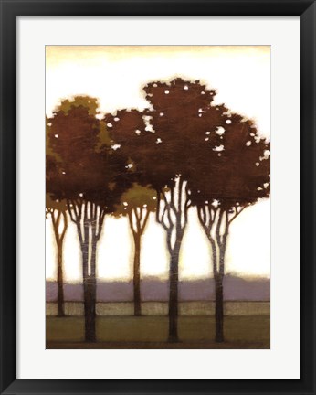 Framed Arboreal Grove II Print