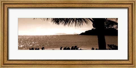 Framed After the Rains Print