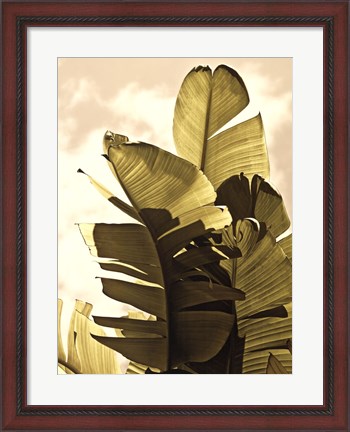 Framed Palm Fronds IV Print