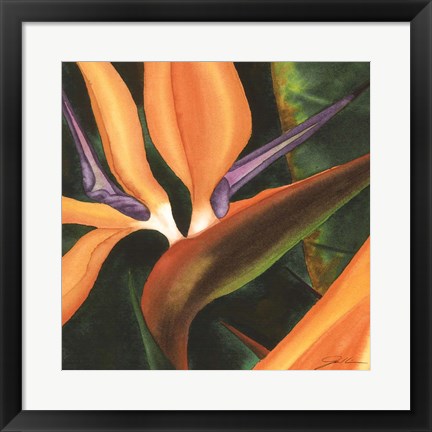 Framed Bird Of Paradise Tile IV Print