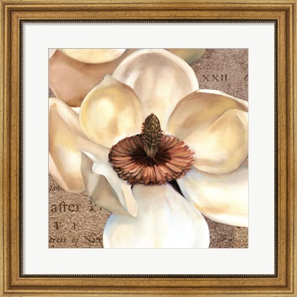 Framed Magnolia Masterpiece I Print
