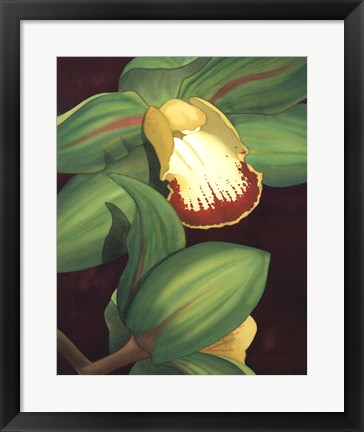 Framed Lime Orchid II Print