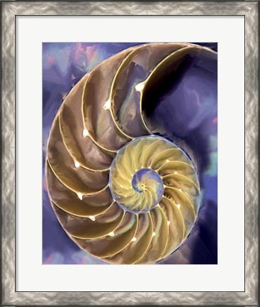Framed Shell Extraction II Print