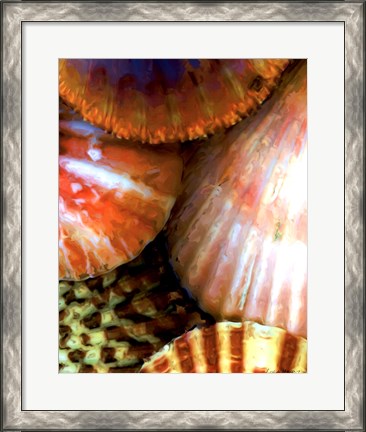 Framed Shell Extraction III Print