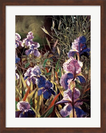 Framed Iris Garden II Print