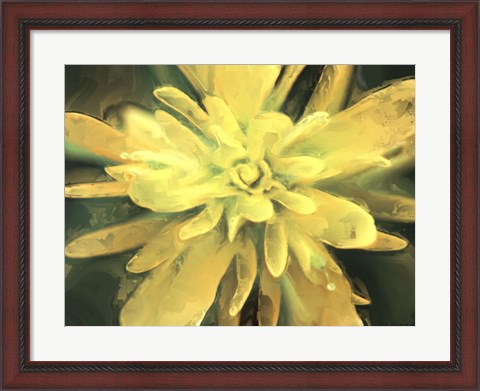 Framed Painterly Flower VII Print