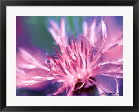 Framed Painterly Flower VIII Print