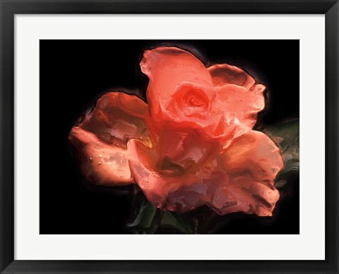 Framed Painterly Flower IV Print