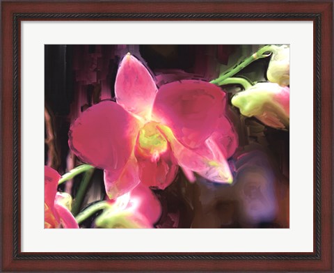 Framed Painterly Flower V Print