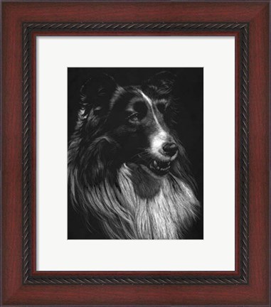 Framed Canine Scratchboard VII Print