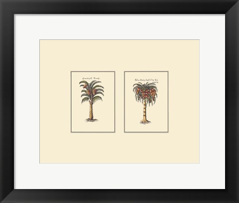 Framed Miniature Palm II Print