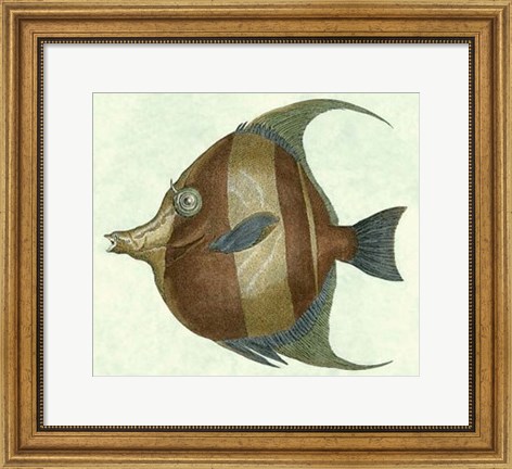 Framed Angel Fish II Print