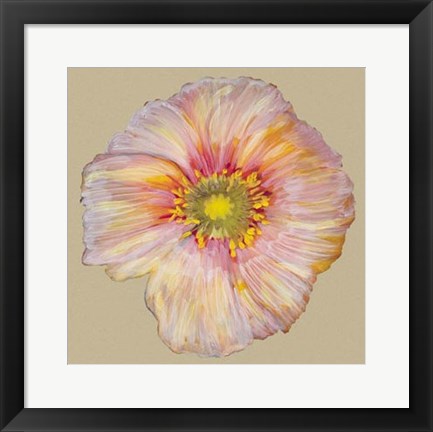 Framed Poppy Blossom I Print