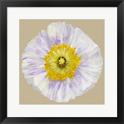 Framed Poppy Blossom IV Print