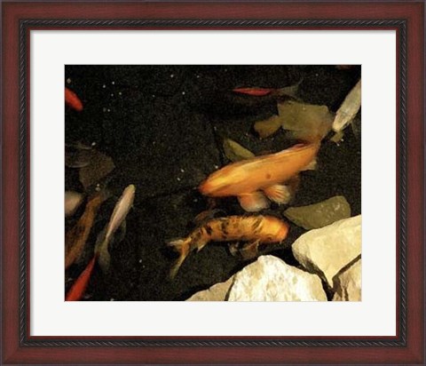 Framed Goldfish Pond I Print