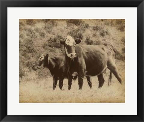 Framed Lone Star Cows II Print