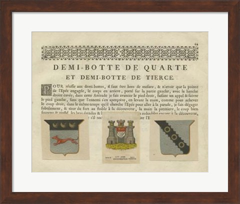 Framed Vintage Armes &amp; Crests IV Print