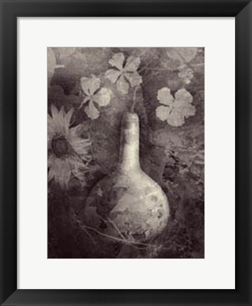Framed Gourd II Print