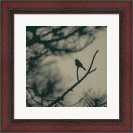 Framed Caligraphy Bird I Print