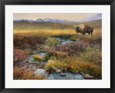 Framed Bison &amp; Creek Print