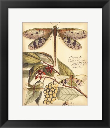 Framed Whimsical Dragonflies I Print