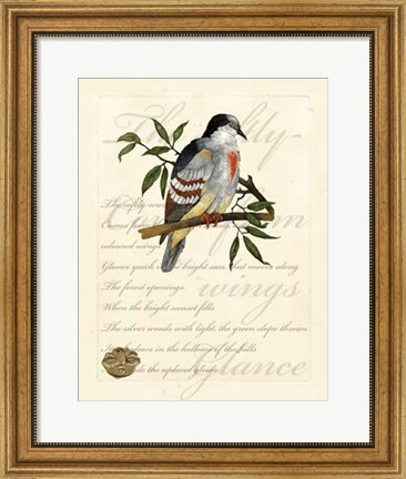Framed Romantic Dove II Print