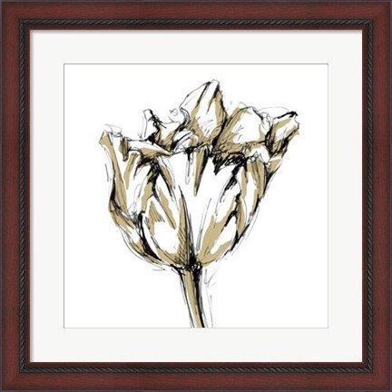 Framed Tulip Sketch I Print