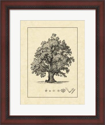 Framed Vintage Tree III Print