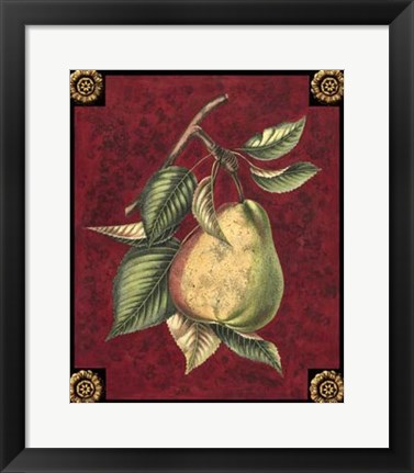 Framed Poire D&#39;Arenburg Print