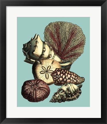 Framed Printed Shell &amp; Coral Collection I Print