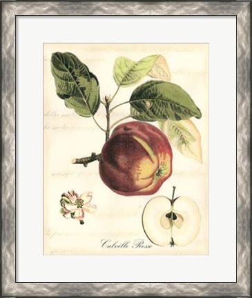 Framed Tuscan Fruits I Print