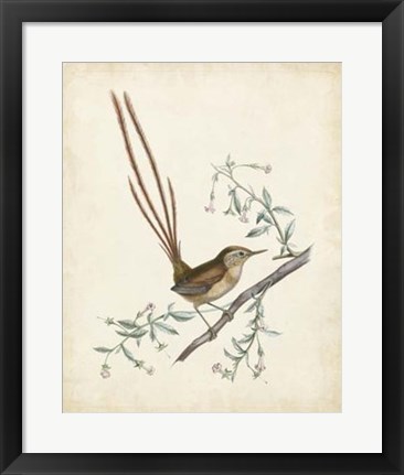 Framed Delicate Birds I Print