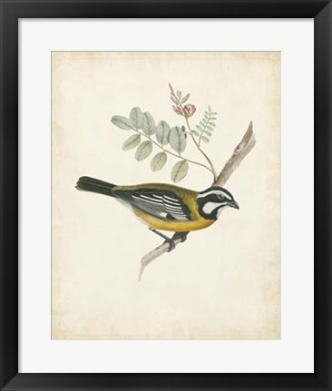 Framed Delicate Birds V Print