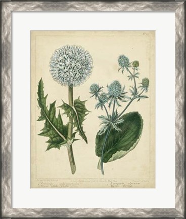 Framed Cottage Florals III Print