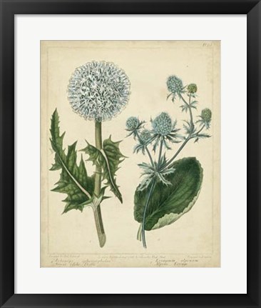 Framed Cottage Florals III Print