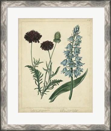 Framed Cottage Florals VI Print