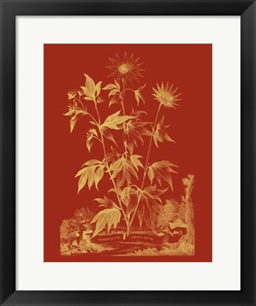 Framed Paprika Bouquet IV Print