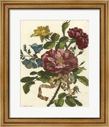 Framed Floral Posy II Print