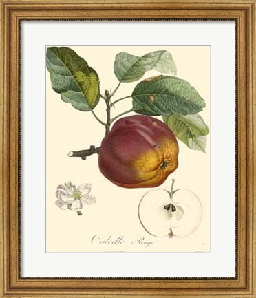 Framed Apples Print