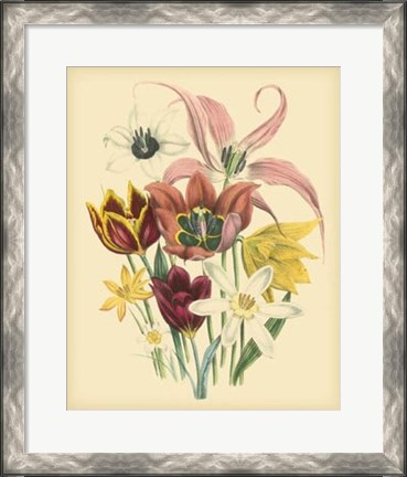 Framed Garden Bouquet IV Print