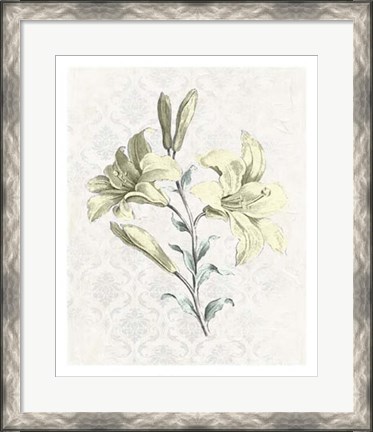 Framed Victorian Blooms III Print